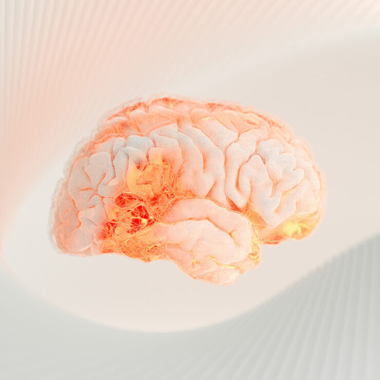 Et si nos biais cognitifs sabotaient nos projets sans qu’on s’en rende compte